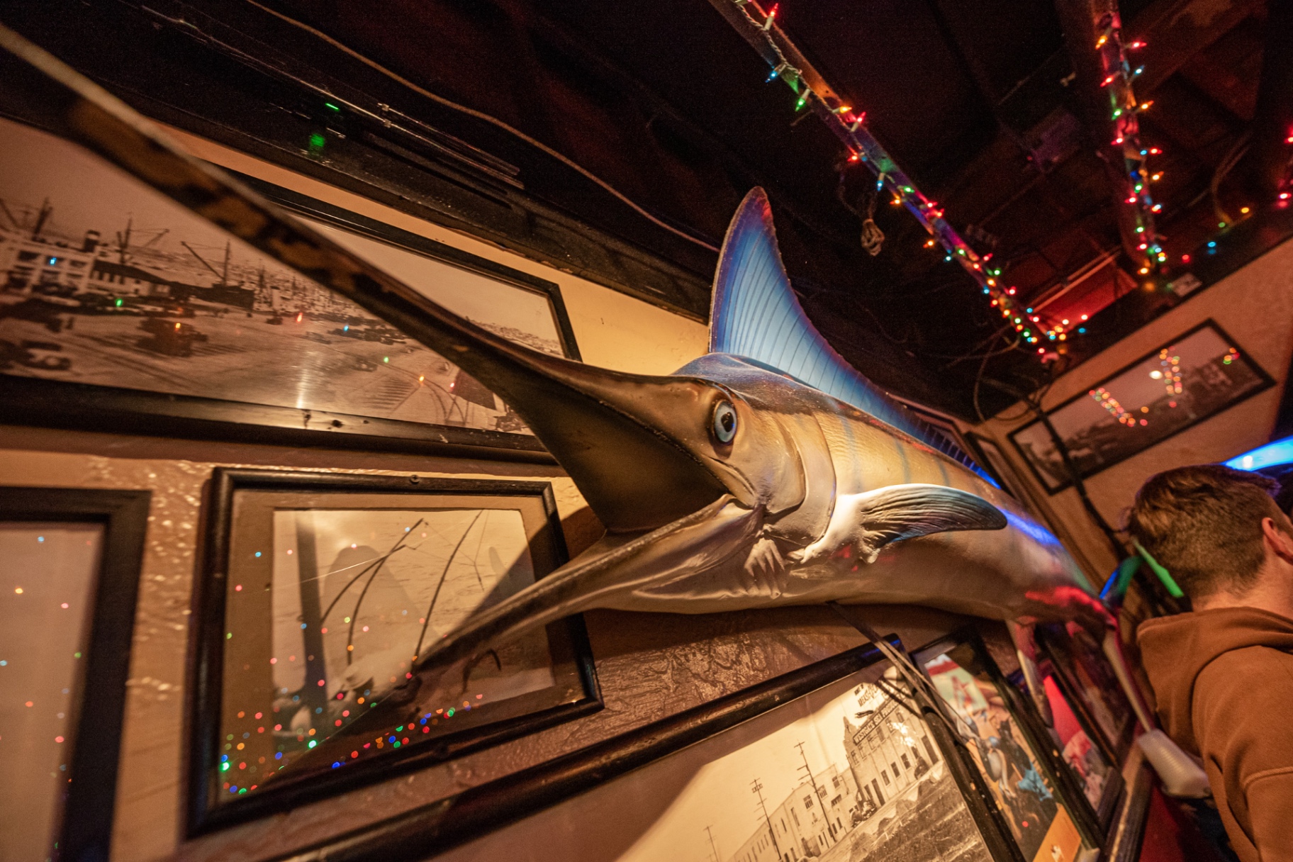 Mounted marlin and vintage San Diego waterfront photographs above the bar at Waterfront